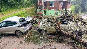 Monsoon fury: 332 roads closed in Himachal, uprooted trees damage vehicles in Shimla