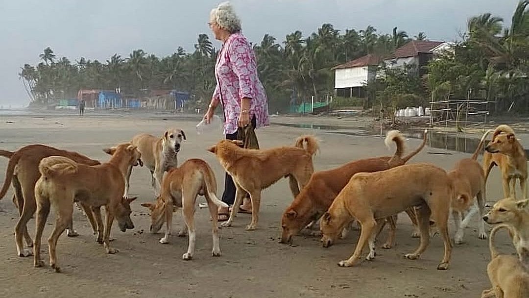 Nafisa Ali: SC’s decision to rid Delhi roads of dogs is totally devastating