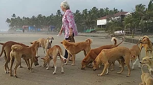 Nafisa Ali: SC’s decision to rid Delhi roads of dogs is totally devastating