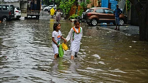As Delhi rain death toll climbs to 20, mayor busy with another meat ban
