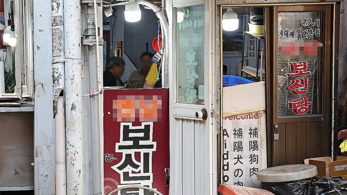70 pc of dog farms in S. Korea closed business after dog meat ban: Ministry