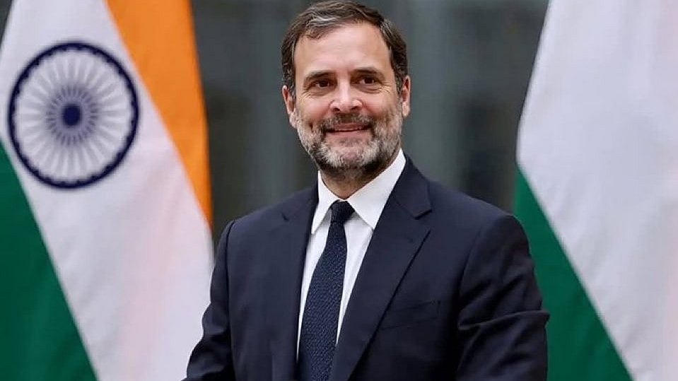 ‘Progressive, scientific’: Rahul Gandhi hails SC’s revised stray dog order