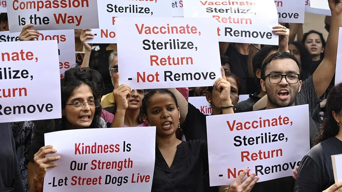 Dogs will come back to their streets: Supreme Court rolls back order