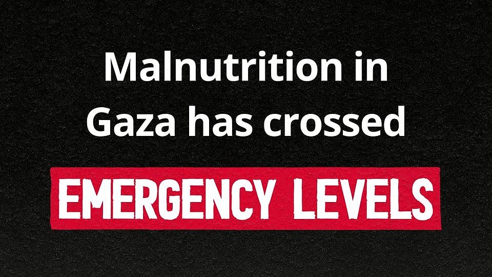 Gaza: Women and children starving, UN food agency chief pleads with Netanyahu