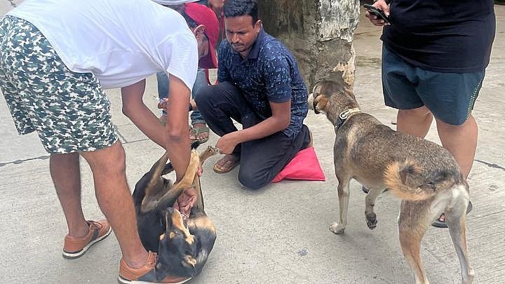 It’s not about dogs — it’s about us and a morally decaying society