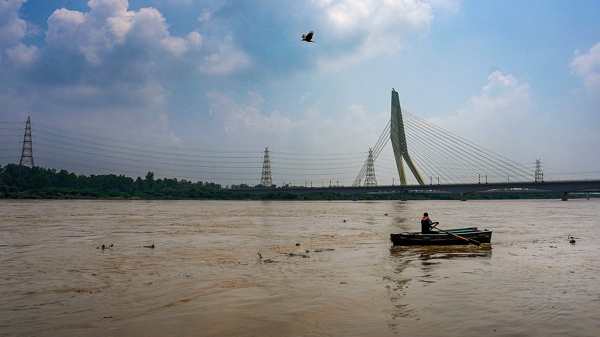 Yamuna swells as rains force release of water from Hathnikund barrage