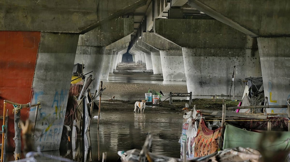 Delhi floods: Deluge as Yamuna displaces families, submerges fields 