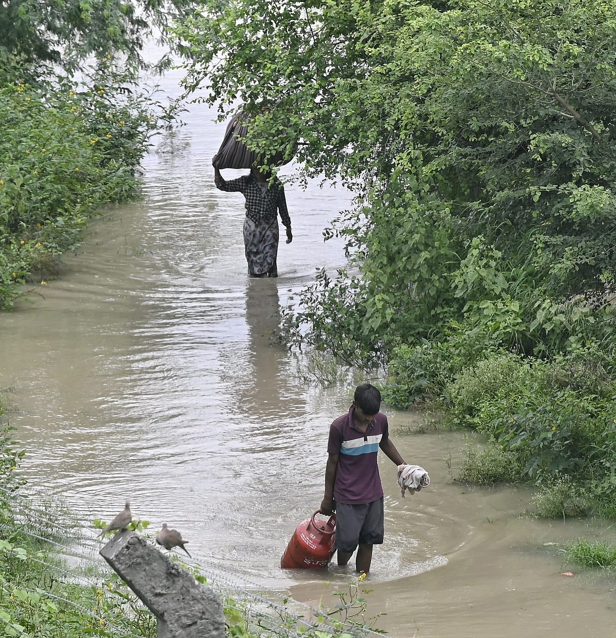 Delhi floods: Deluge as Yamuna displaces families, submerges fields 