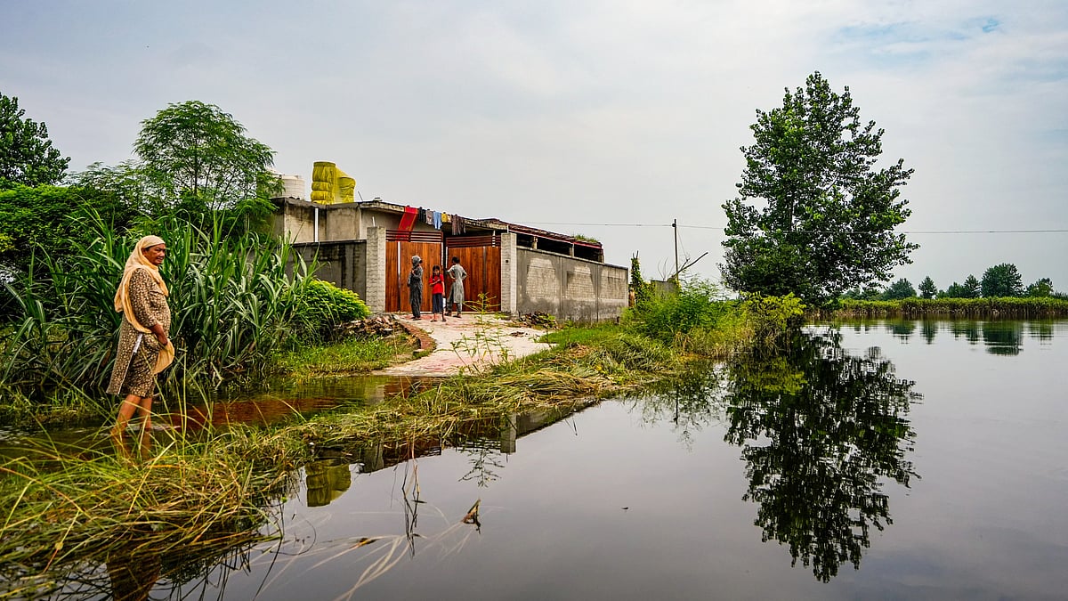 Flood-hit Punjab becomes accidental testing ground 