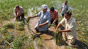 J&K Congress blames admin lapses after visiting flood-hit border areas