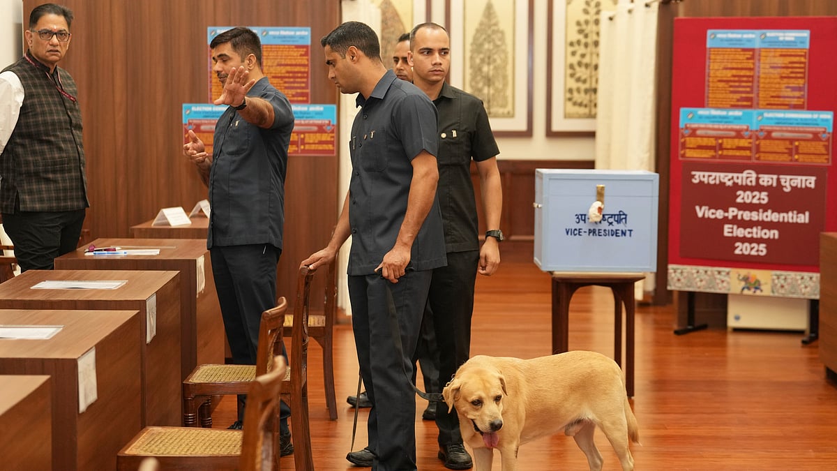 MPs begin voting in the high-stakes vice-presidential election