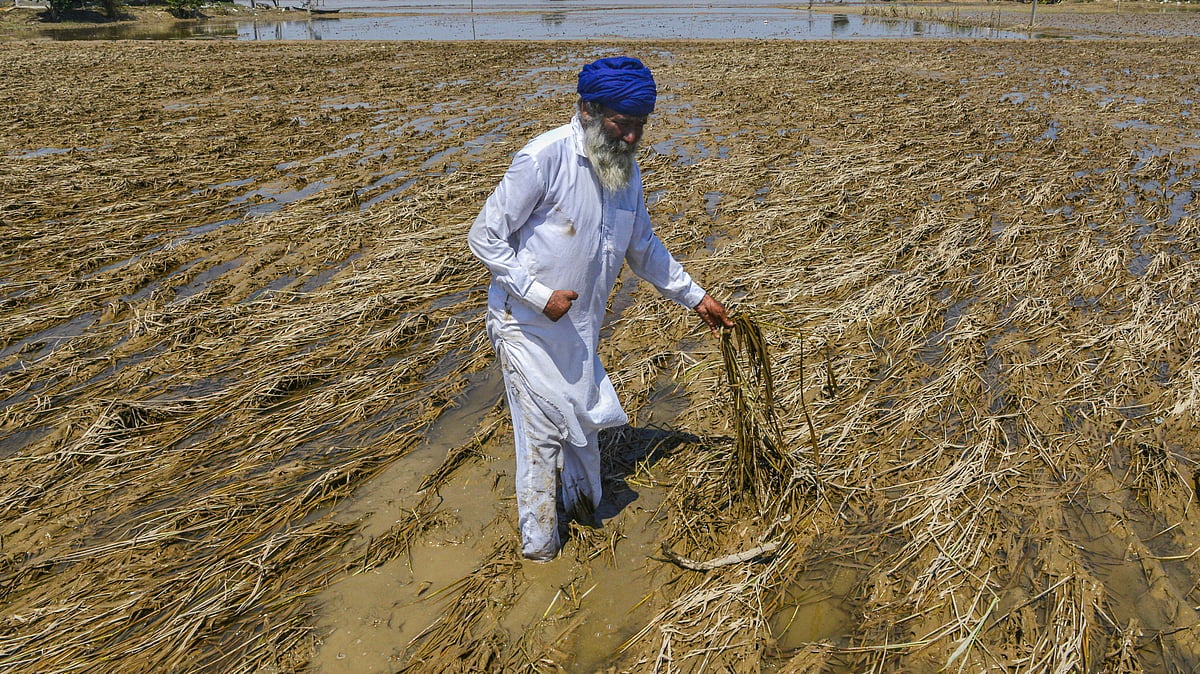 Punjab floods: Toll climbs to 55 with 2 more deaths