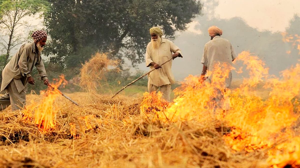 Supreme Court pressures Punjab on stubble burning