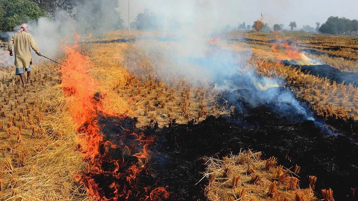 Punjab CM announces awareness camps, machinery to curb stubble burning