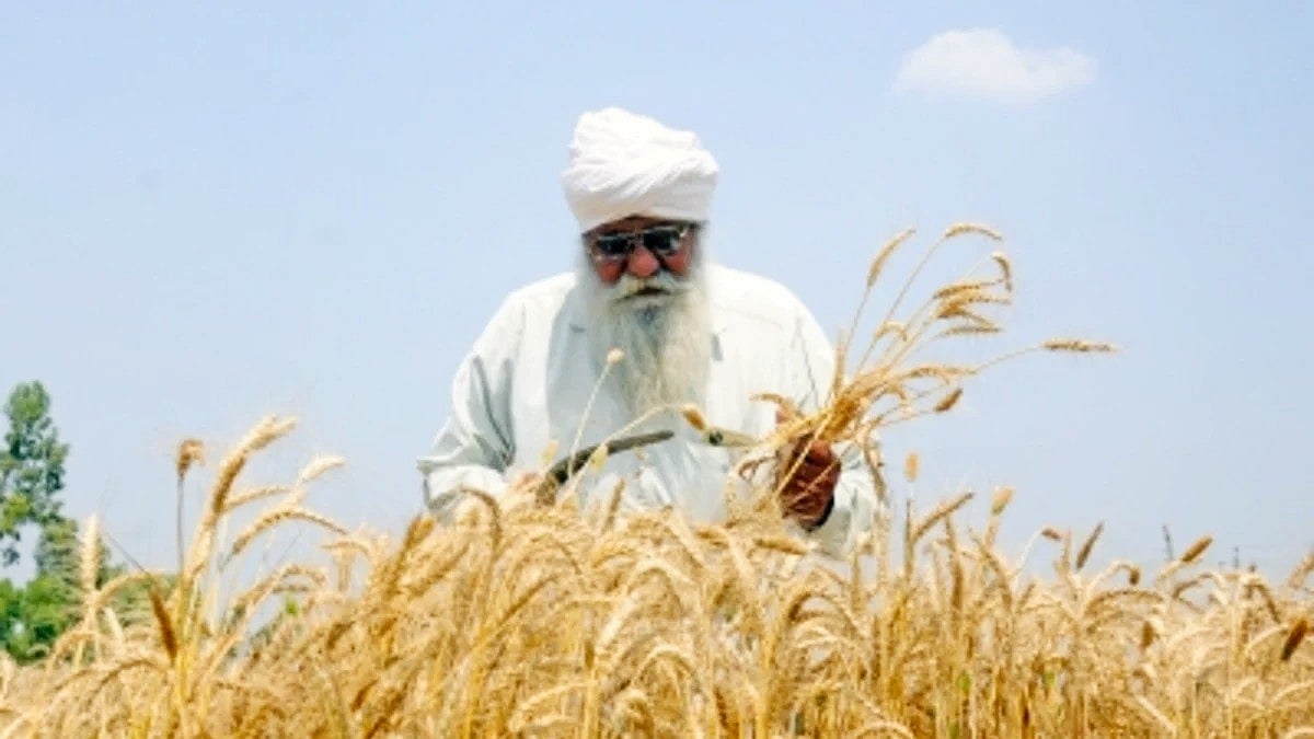 MSP hike fails to cheer farmers, losses still loom large