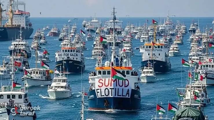 Israeli navy halts Gaza flotilla, detains dozens including European lawmakers