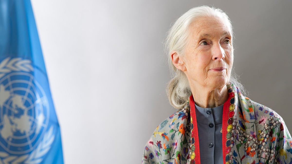 Jane Goodall: Scientist, storyteller, and a voice of hope for generations