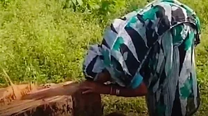 Elderly woman sobs over felled peepul tree; two held as video goes viral