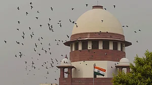 Supreme Court grants interim bail to Jyoti Jagtap in Elgar Parishad case