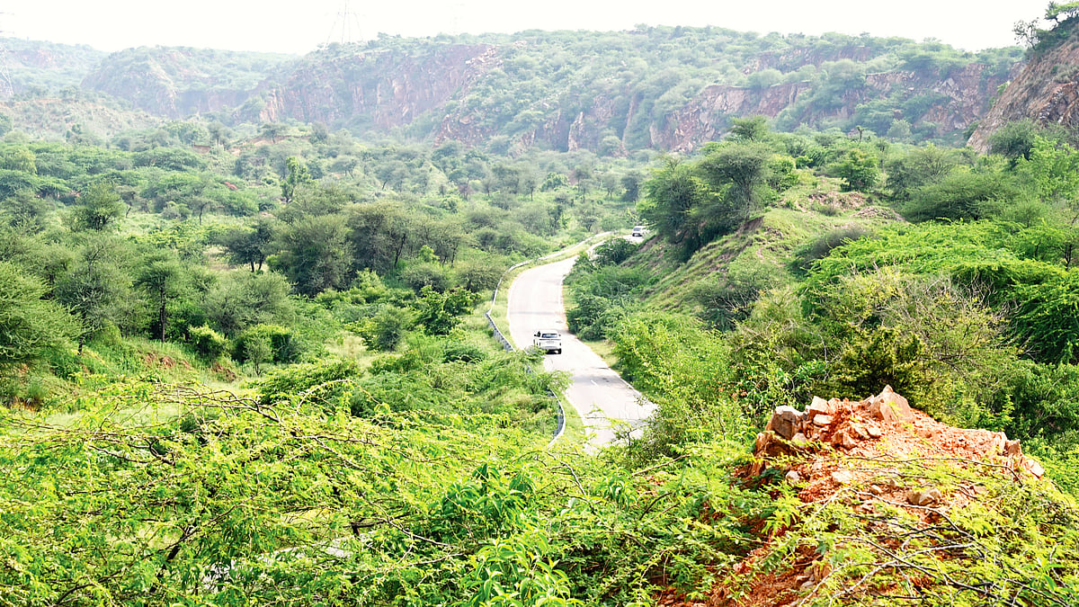 Not just the Himalayas, the Aravallis too