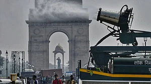 So how clean was Delhi’s Diwali after Supreme Court’s ‘green cracker’ order?