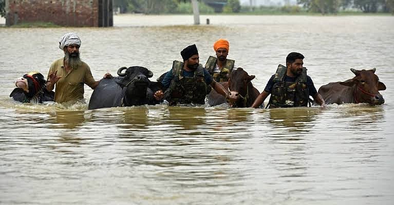 From floodwaters to fever: Punjab battles a fresh epidemic