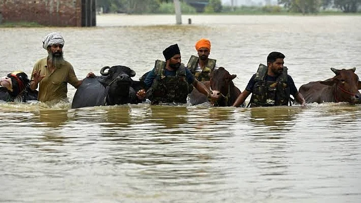 Punjab when awash in floods: Surely the govt knew a murder of mosquitoes was imminent?