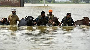 From floodwaters to fever: Punjab battles a fresh epidemic