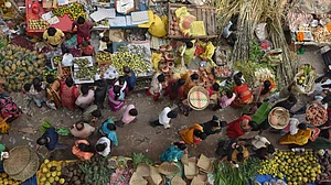 Chhath celebration in Delhi, 26 Oct 2025 (Photos: Vipin/National Herald)
