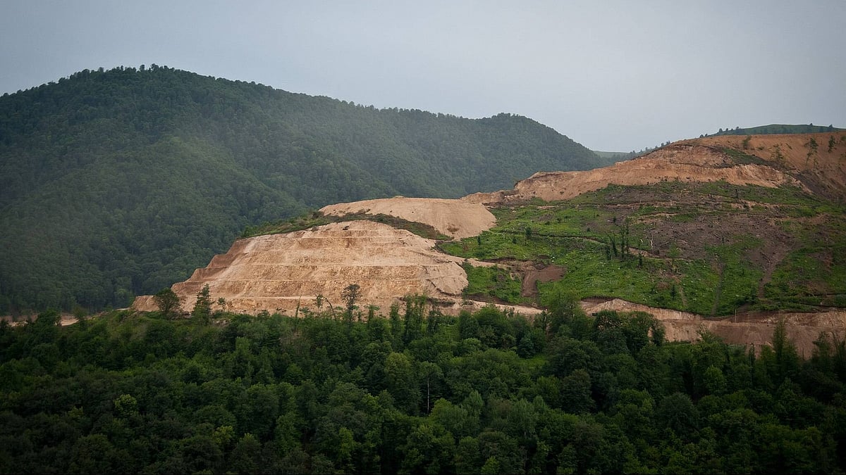 Supreme Court bans mining within 1 km of all national parks and wildlife sanctuaries