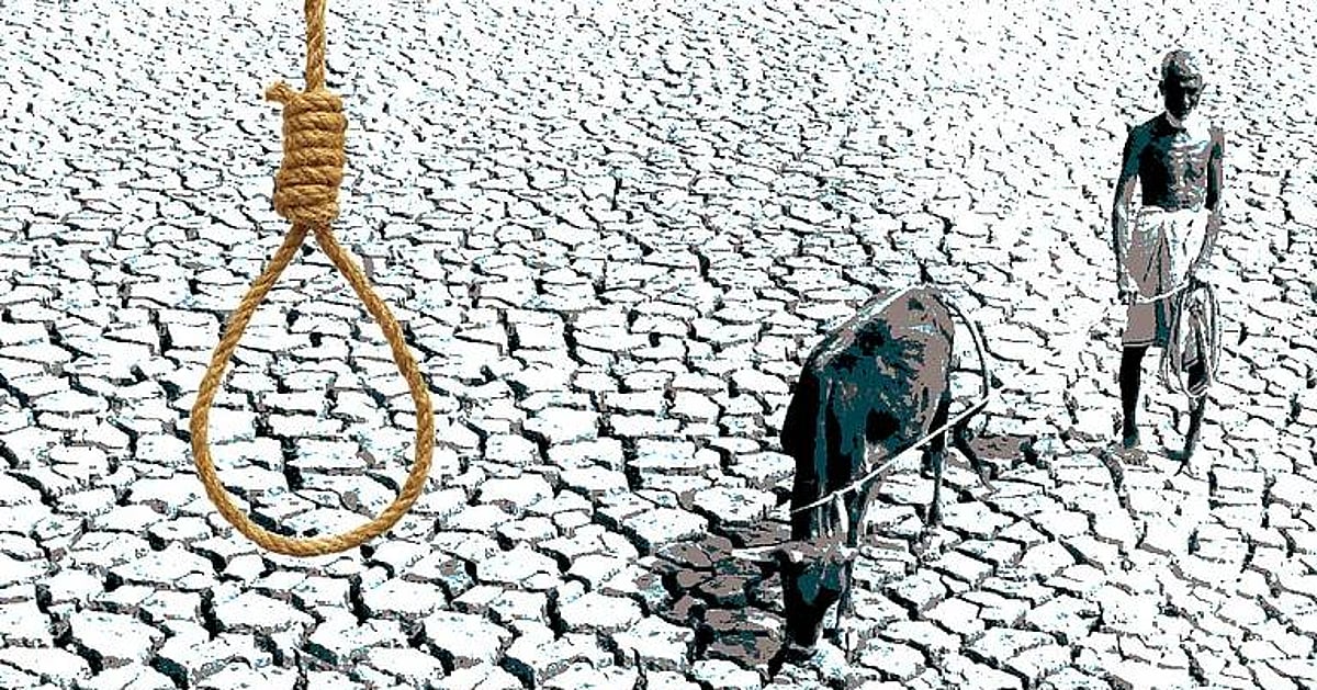 महाराष्ट्र में साढ़े चार साल में 13 हजार से ज्यादा किसानों की आत्महत्या, हर दिन औसतन आठ से अधिक मौतें