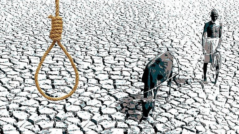 Marathwada: 899 farmer suicides in 10 months; flood-hit region records sharp spike