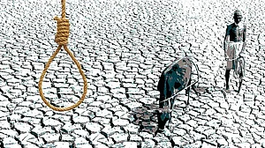 Maharashtra: Growing farm distress brings farmer suicides back under spotlight