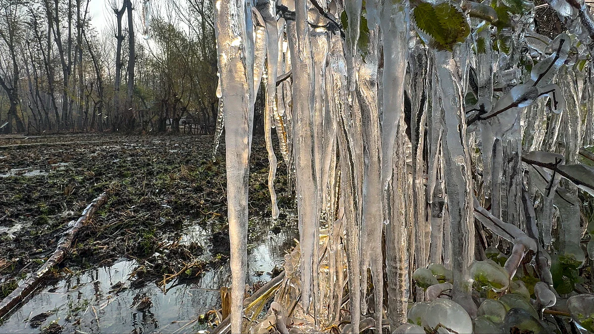 Winter sketches its crystal art on Anantnag’s trees.