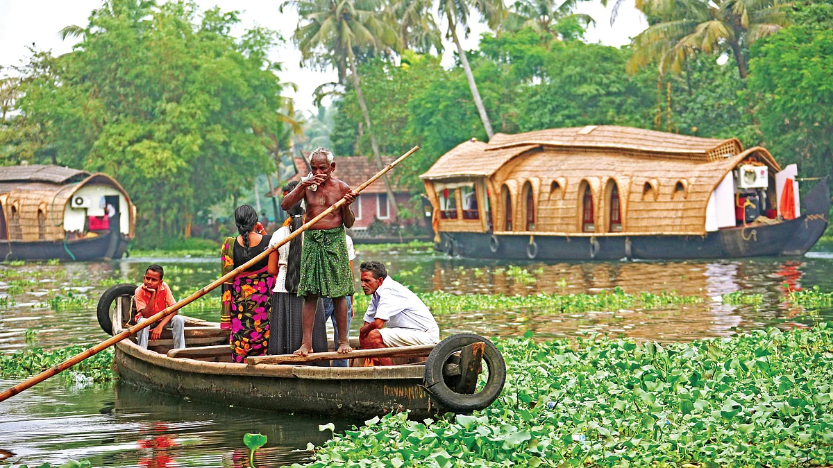 Toddy's own country
