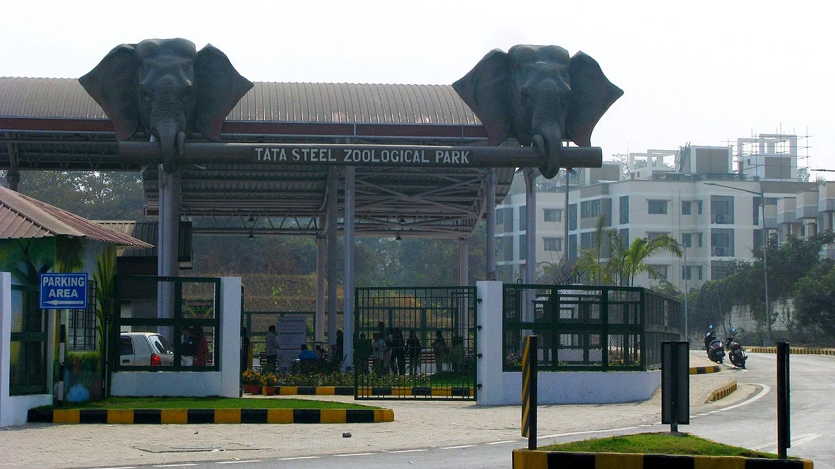 Tata Steel Zoological Park