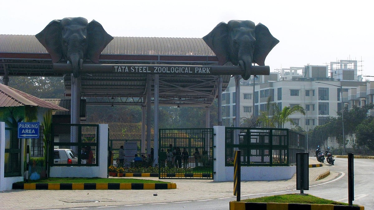 Tata Steel Zoological Park
