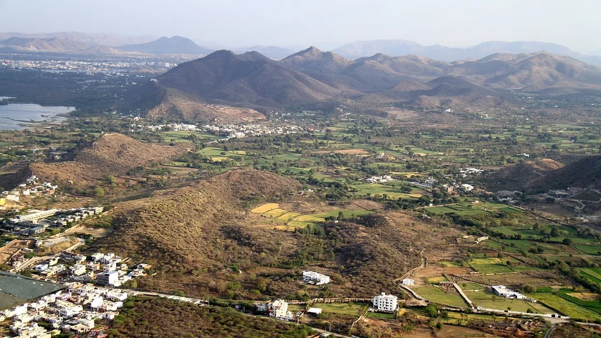 Haryana’s forested area in the Aravallis lies in low-elevation zones, seldom reaching 100 m 