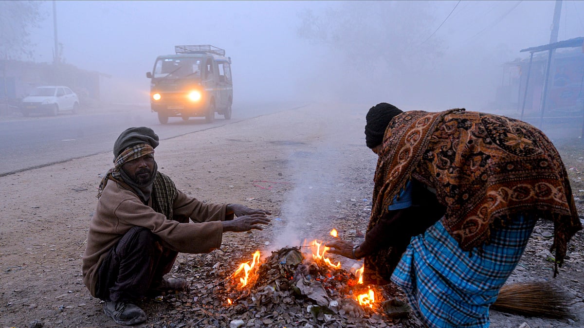 Cold wave grips Delhi, dense fog disrupts life across north India