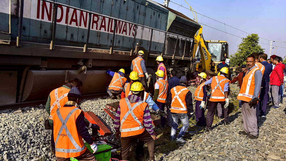 Assam: Rajdhani Express ploughs into elephant herd, killing eight