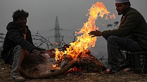 Snow, rain lift Kashmir temperatures; Srinagar logs warmest night of winter