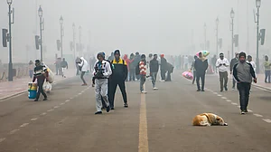 Delhi air pollution: AQI nears severe as smog and cold grip the city