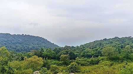 Tamil Nadu expands reserved forest network across 10 districts