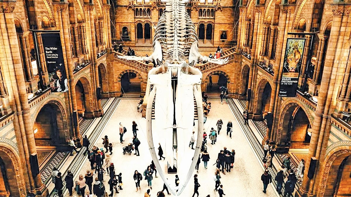 London Diary: The British Museum’s ‘decolonisation’ decoy