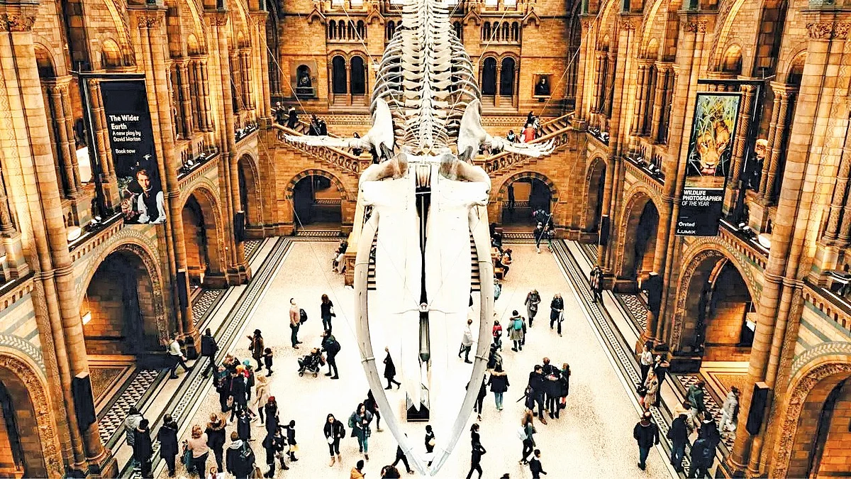 Inside the British Museum