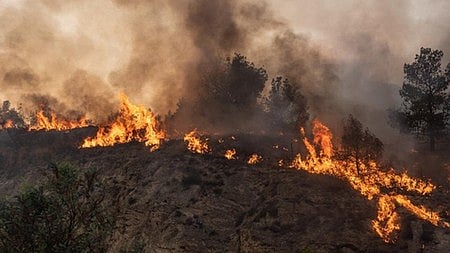 Wildfires scorch 100,000+ hectares, force evacuations in S Africa’s Western Cape