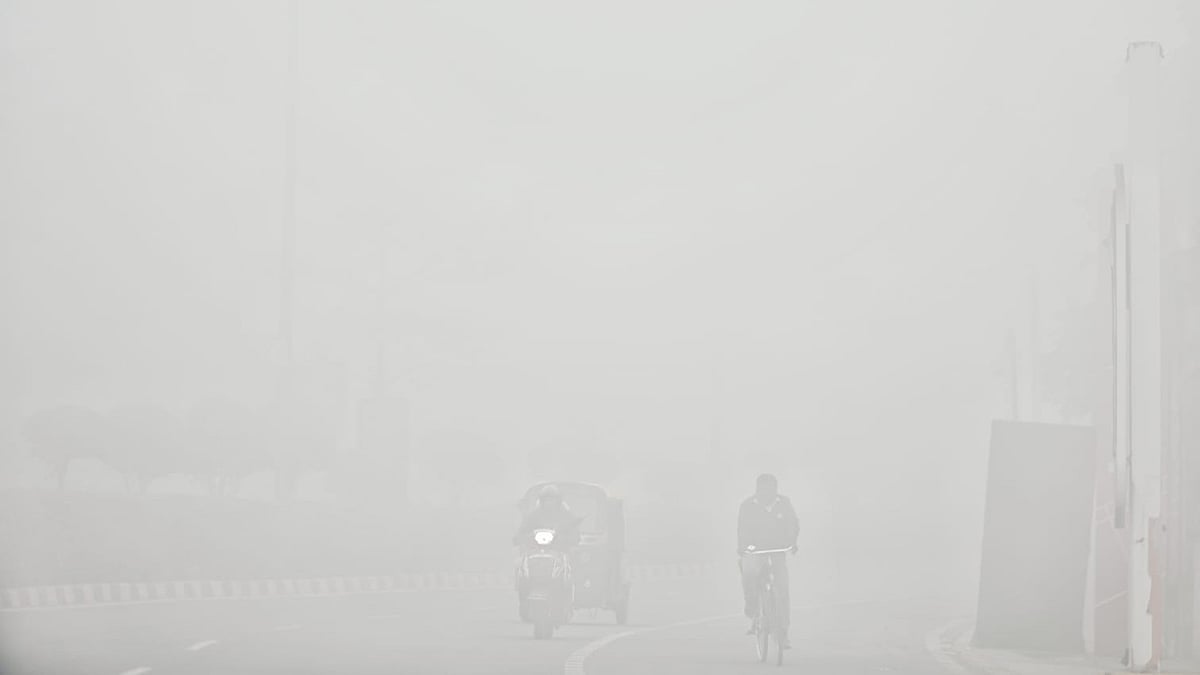 Delhi wakes up to dense fog as temperature plunges to 4.4°C