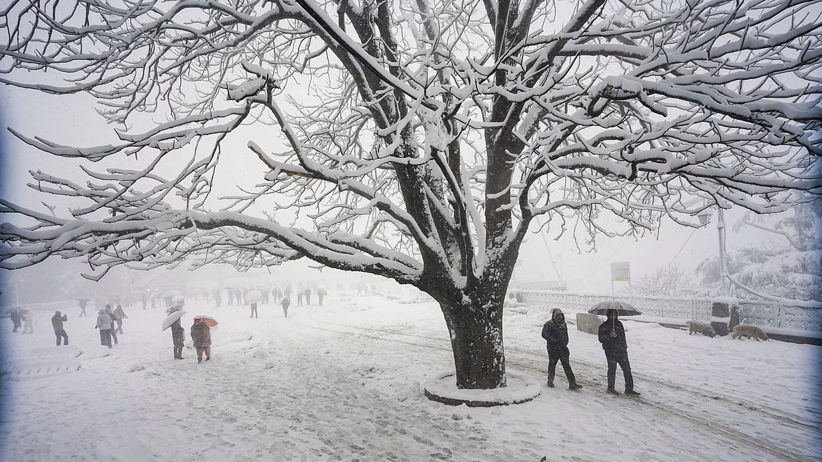 Himachal finally sees first snow after barren Himalayan winter
