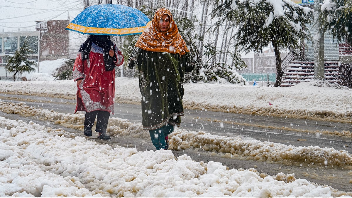  Kashmir, Himachal receive season's first snowfall, flights cancelled at Srinagar airport 