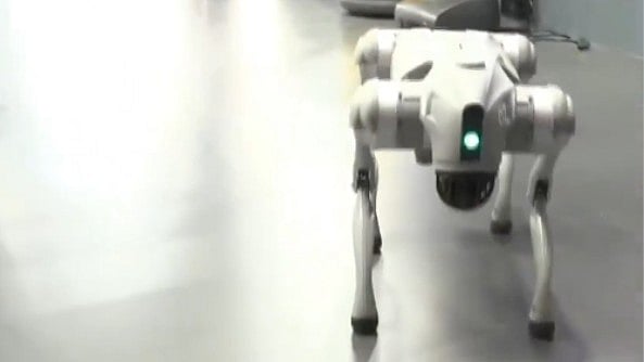 AI Impact Summit: Galgotias University’s ‘Chinese Robodog’ steals the show